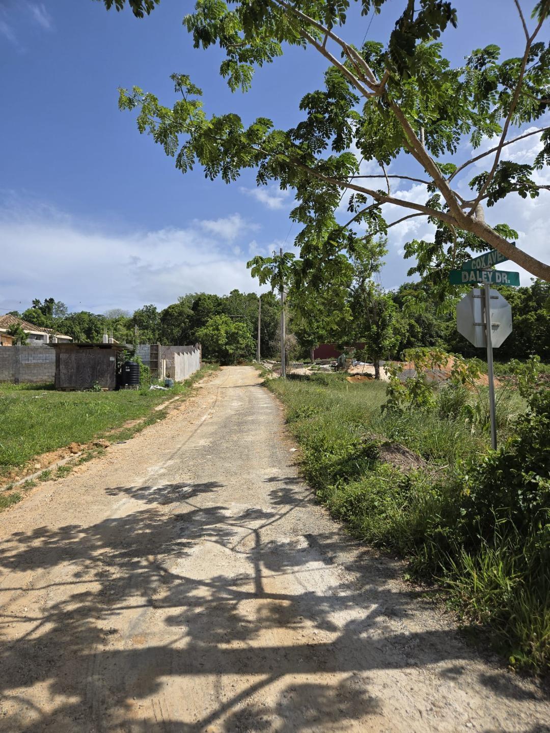 Fifth image of Lot 8 Part of Warwick Mount in Breadnut Hill, St. Ann, Jamaica - property is For Sale