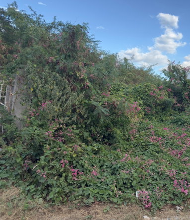 Third image of 55 Old Harbour Glades in Old Harbour, St. Catherine, Jamaica - property is For Sale