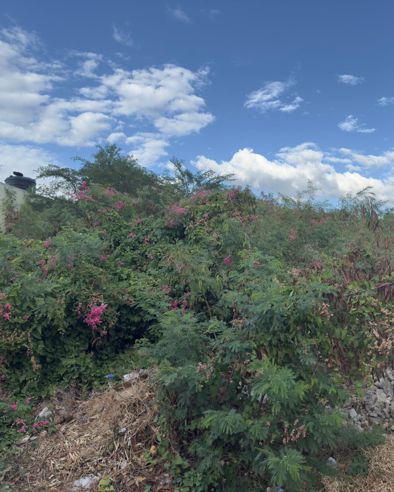 Fourth image of 55 Old Harbour Glades in Old Harbour, St. Catherine, Jamaica - property is For Sale