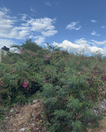 Fourth image of 55 Old Harbour Glades in Old Harbour, St. Catherine, Jamaica - property is For Sale