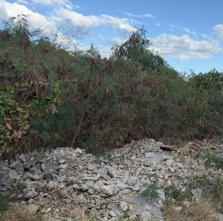 Fifth image of 55 Old Harbour Glades in Old Harbour, St. Catherine, Jamaica - property is For Sale