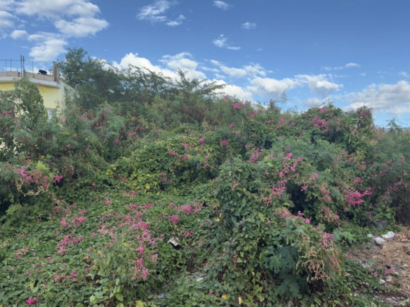 First image of 55 Old Harbour Glades in Old Harbour, St. Catherine, Jamaica - property is For Sale