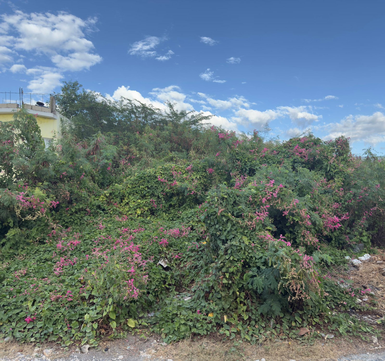 First image of 55 Old Harbour Glades in Old Harbour, St. Catherine, Jamaica - property is For Sale