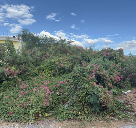 First image of 55 Old Harbour Glades in Old Harbour, St. Catherine, Jamaica - property is For Sale