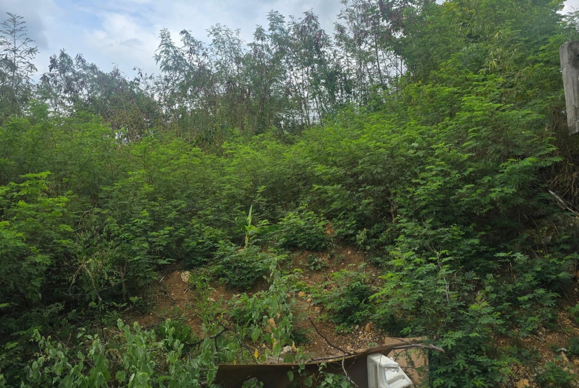 Fifth image of Lot 77 Ocean Cres, Old Harbour m in Old Harbour, St. Catherine, Jamaica - property is For Sale