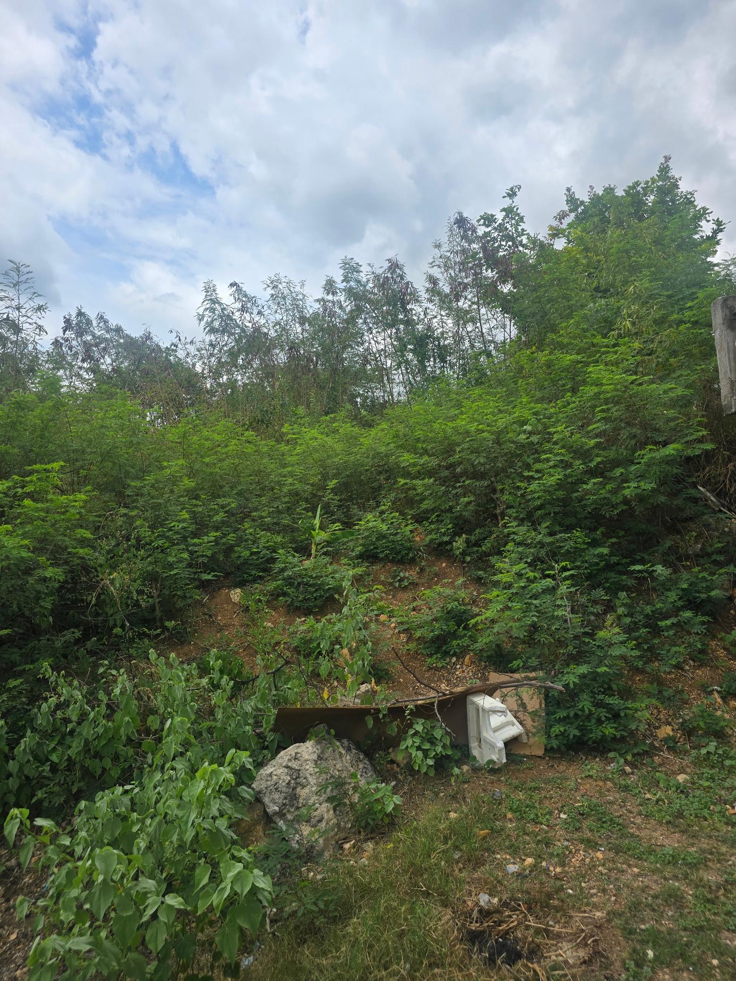 Residential-Lot-for-Sale-in-Old-Harbour-Mews-St.-Catherine-Jamaica Fifth image of Lot 77 Ocean Cres, Old Harbour m in Old Harbour, St. Catherine, Jamaica - property is For Sale