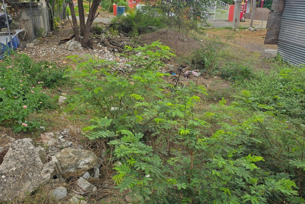 Eighth image of Lot 77 Ocean Cres, Old Harbour m in Old Harbour, St. Catherine, Jamaica - property is For Sale