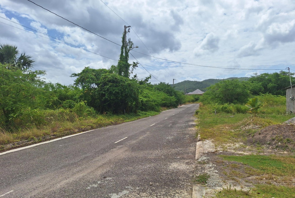 Second image of 116 Palmbrook Estate in Lacovia, St. Elizabeth, Jamaica - property is For Sale