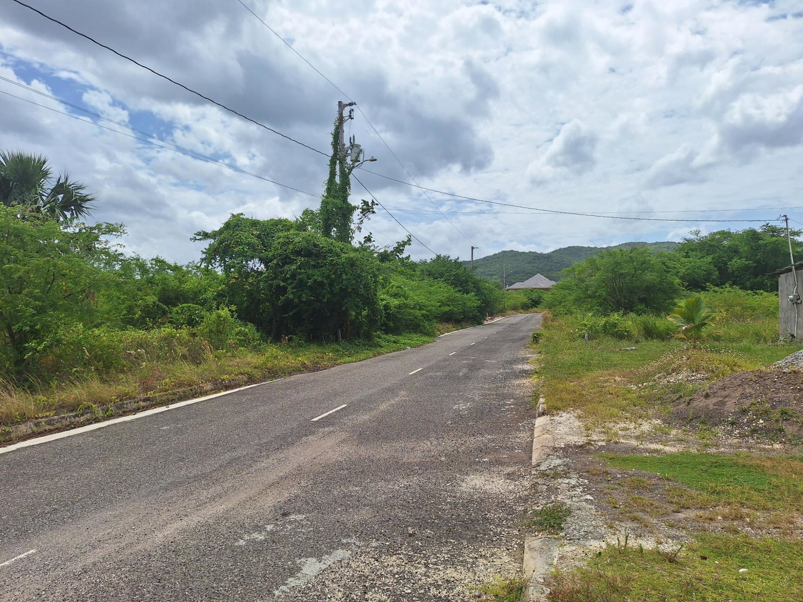 Residential-Lot-for-Sale-in-Palmbrook-Estate-St.-Elizabeth-Jamaica Second image of 116 Palmbrook Estate in Lacovia, St. Elizabeth, Jamaica - property is For Sale