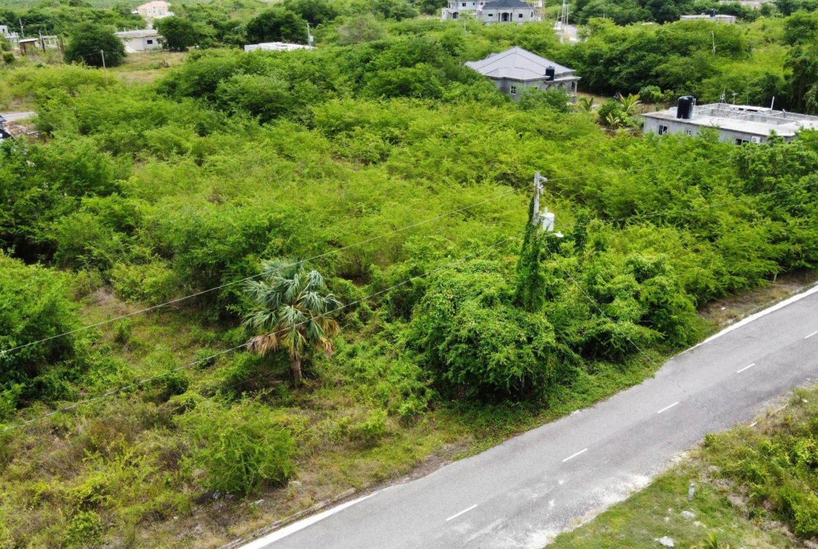 Eleventh image of 116 Palmbrook Estate in Lacovia, St. Elizabeth, Jamaica - property is For Sale