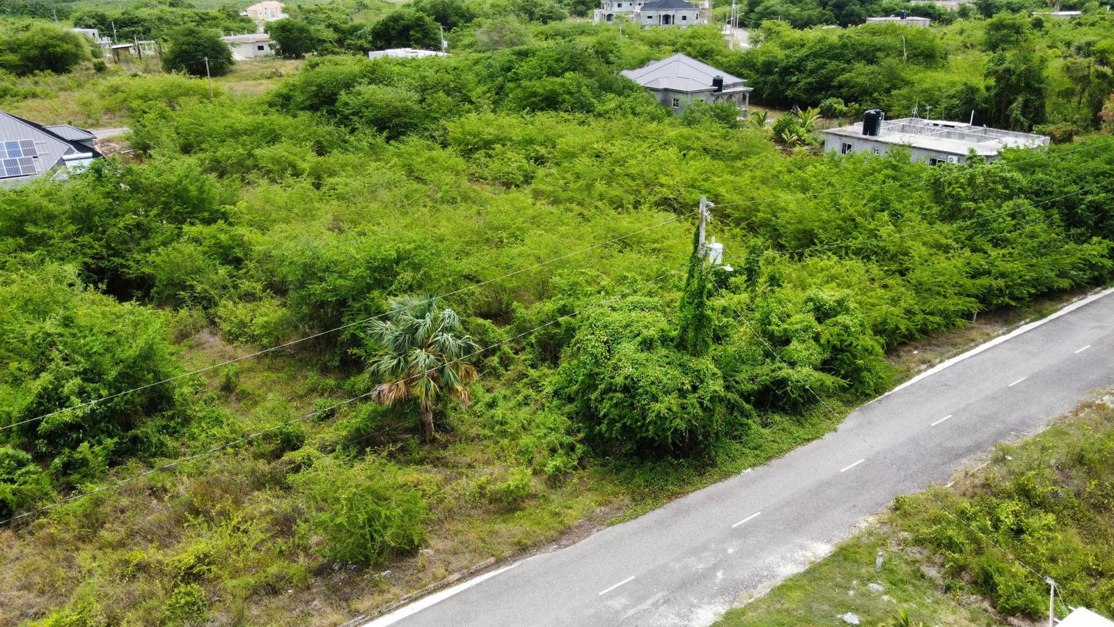 Residential-Lot-for-Sale-in-Palmbrook-Estate-St.-Elizabeth-Jamaica Eleventh image of 116 Palmbrook Estate in Lacovia, St. Elizabeth, Jamaica - property is For Sale