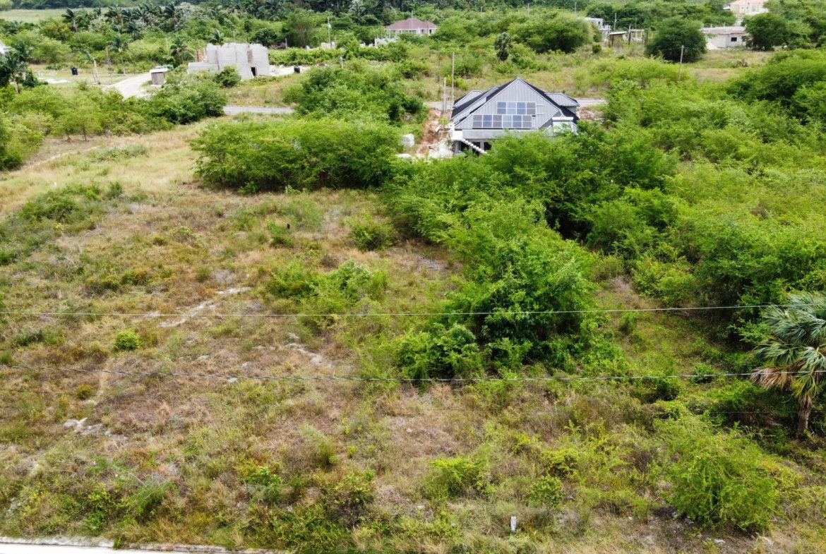 Twelfth image of 116 Palmbrook Estate in Lacovia, St. Elizabeth, Jamaica - property is For Sale