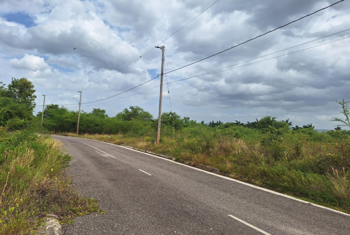 Third image of 116 Palmbrook Estate in Lacovia, St. Elizabeth, Jamaica - property is For Sale