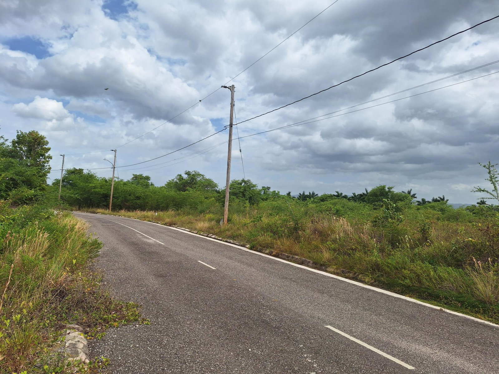 Residential-Lot-for-Sale-in-Palmbrook-Estate-St.-Elizabeth-Jamaica Third image of 116 Palmbrook Estate in Lacovia, St. Elizabeth, Jamaica - property is For Sale