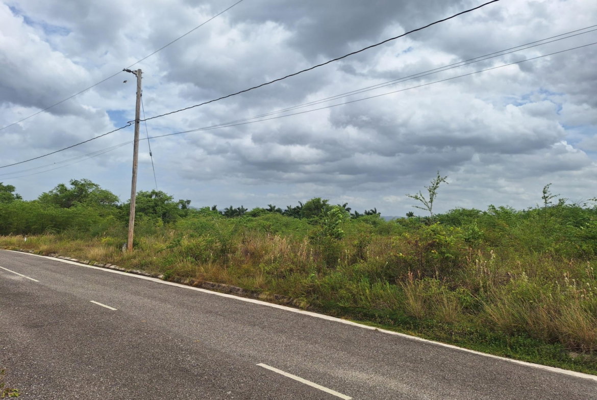 Fourth image of 116 Palmbrook Estate in Lacovia, St. Elizabeth, Jamaica - property is For Sale