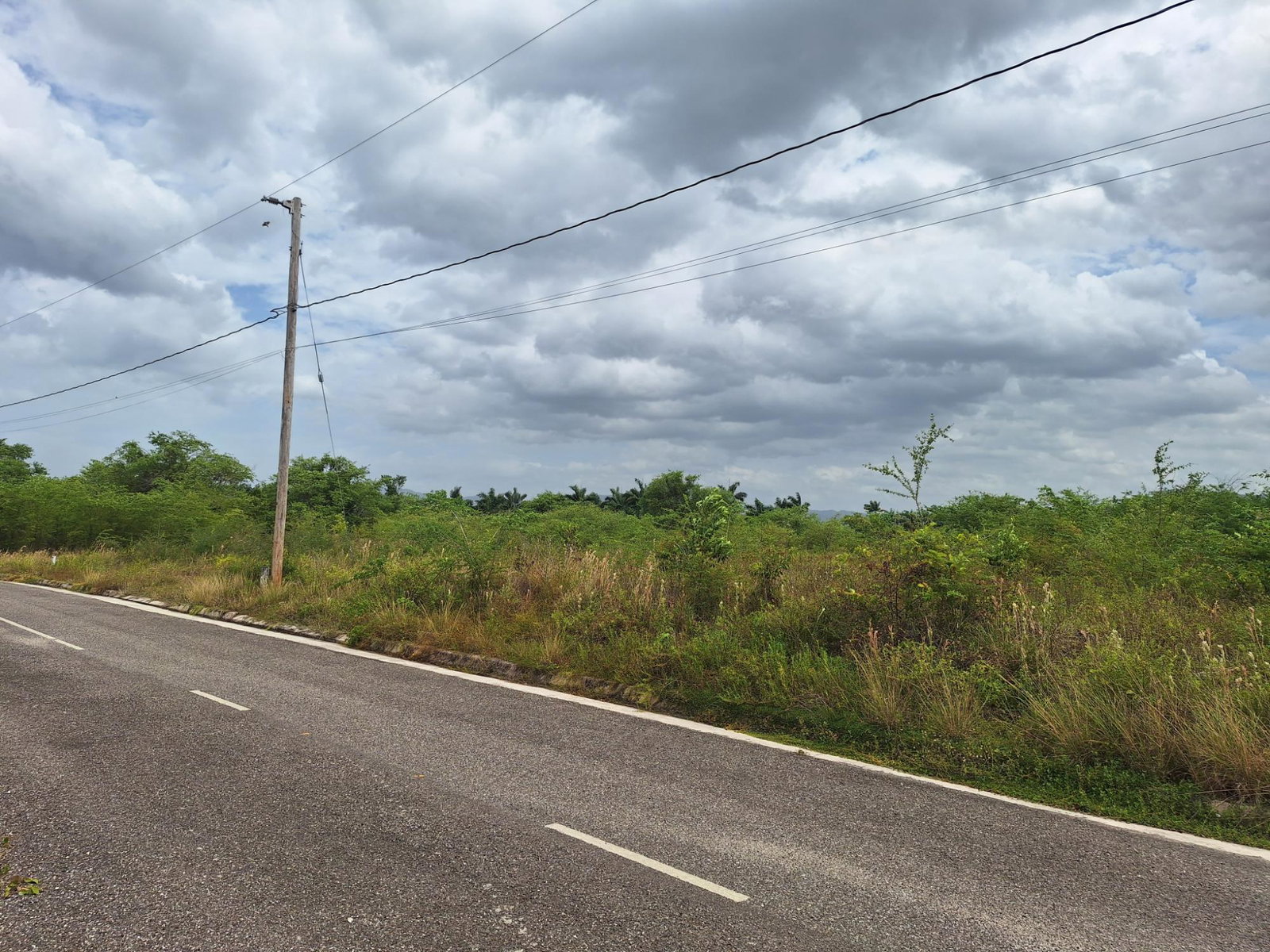 Residential-Lot-for-Sale-in-Palmbrook-Estate-St.-Elizabeth-Jamaica Fourth image of 116 Palmbrook Estate in Lacovia, St. Elizabeth, Jamaica - property is For Sale