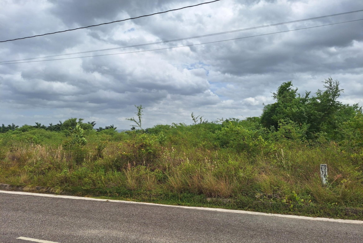 Fifth image of 116 Palmbrook Estate in Lacovia, St. Elizabeth, Jamaica - property is For Sale