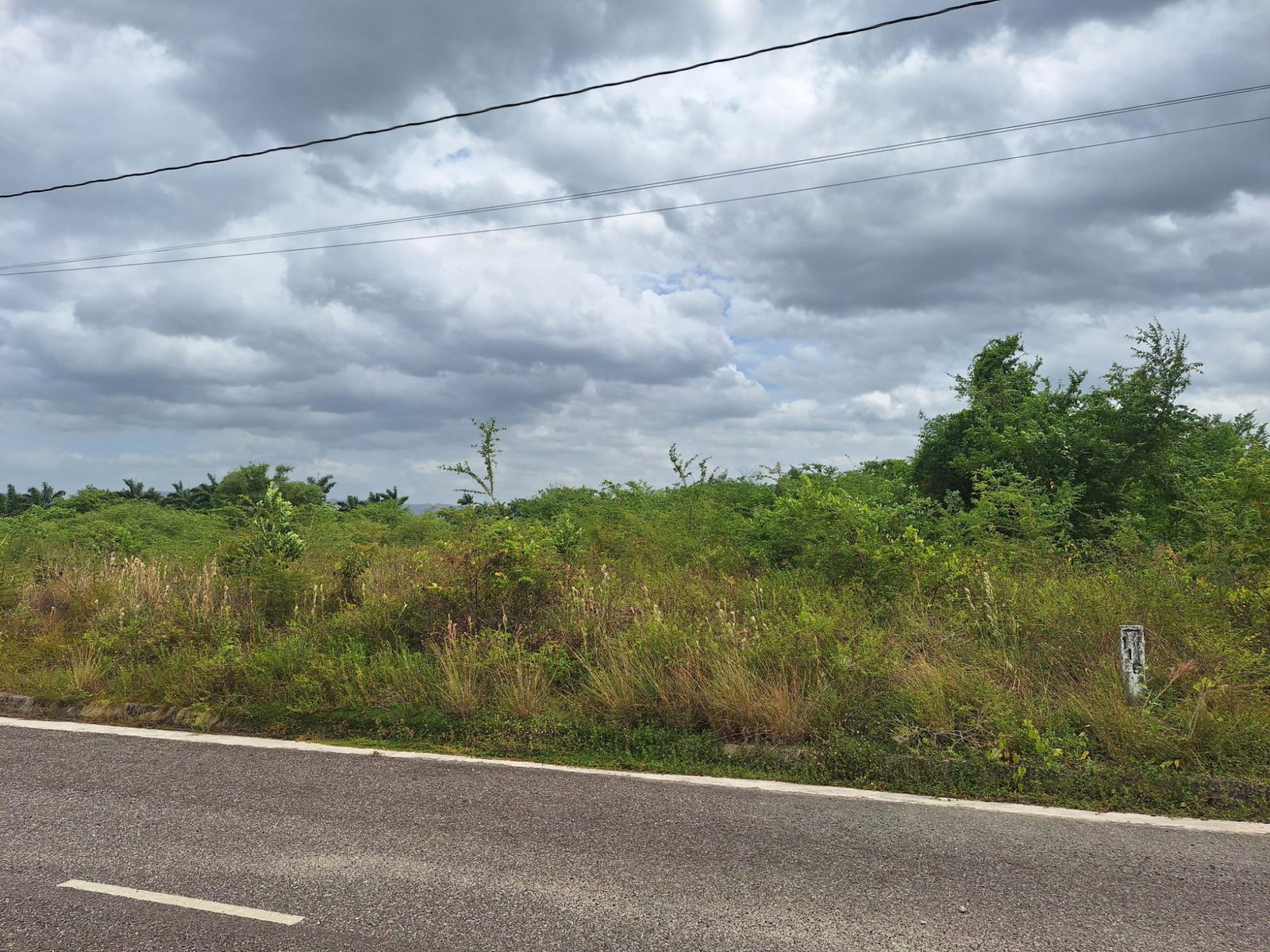 Residential-Lot-for-Sale-in-Palmbrook-Estate-St.-Elizabeth-Jamaica Fifth image of 116 Palmbrook Estate in Lacovia, St. Elizabeth, Jamaica - property is For Sale