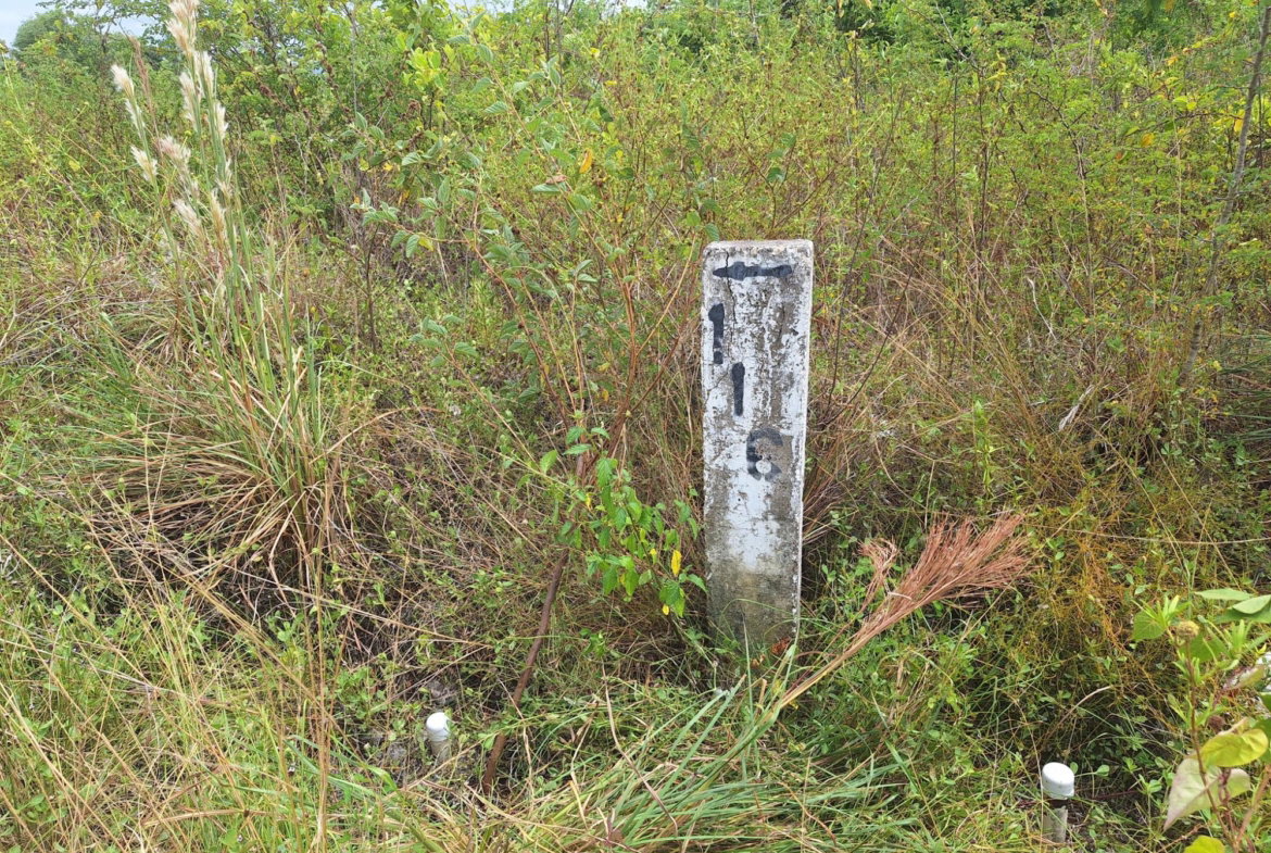 Sixth image of 116 Palmbrook Estate in Lacovia, St. Elizabeth, Jamaica - property is For Sale