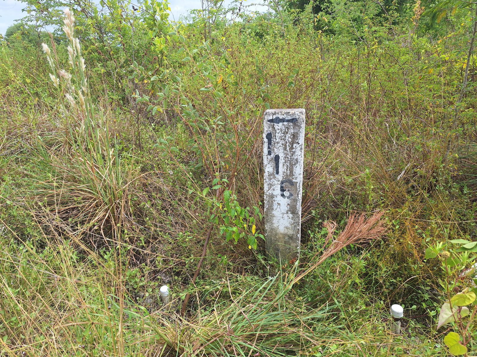 Residential-Lot-for-Sale-in-Palmbrook-Estate-St.-Elizabeth-Jamaica Sixth image of 116 Palmbrook Estate in Lacovia, St. Elizabeth, Jamaica - property is For Sale
