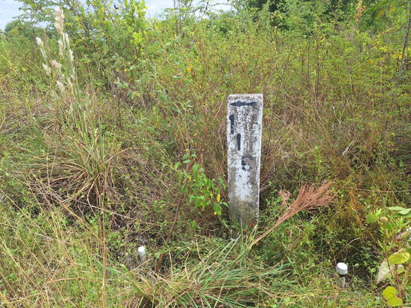 Sixth image of 116 Palmbrook Estate in Lacovia, St. Elizabeth, Jamaica - property is For Sale