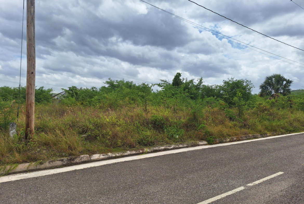 Eighth image of 116 Palmbrook Estate in Lacovia, St. Elizabeth, Jamaica - property is For Sale
