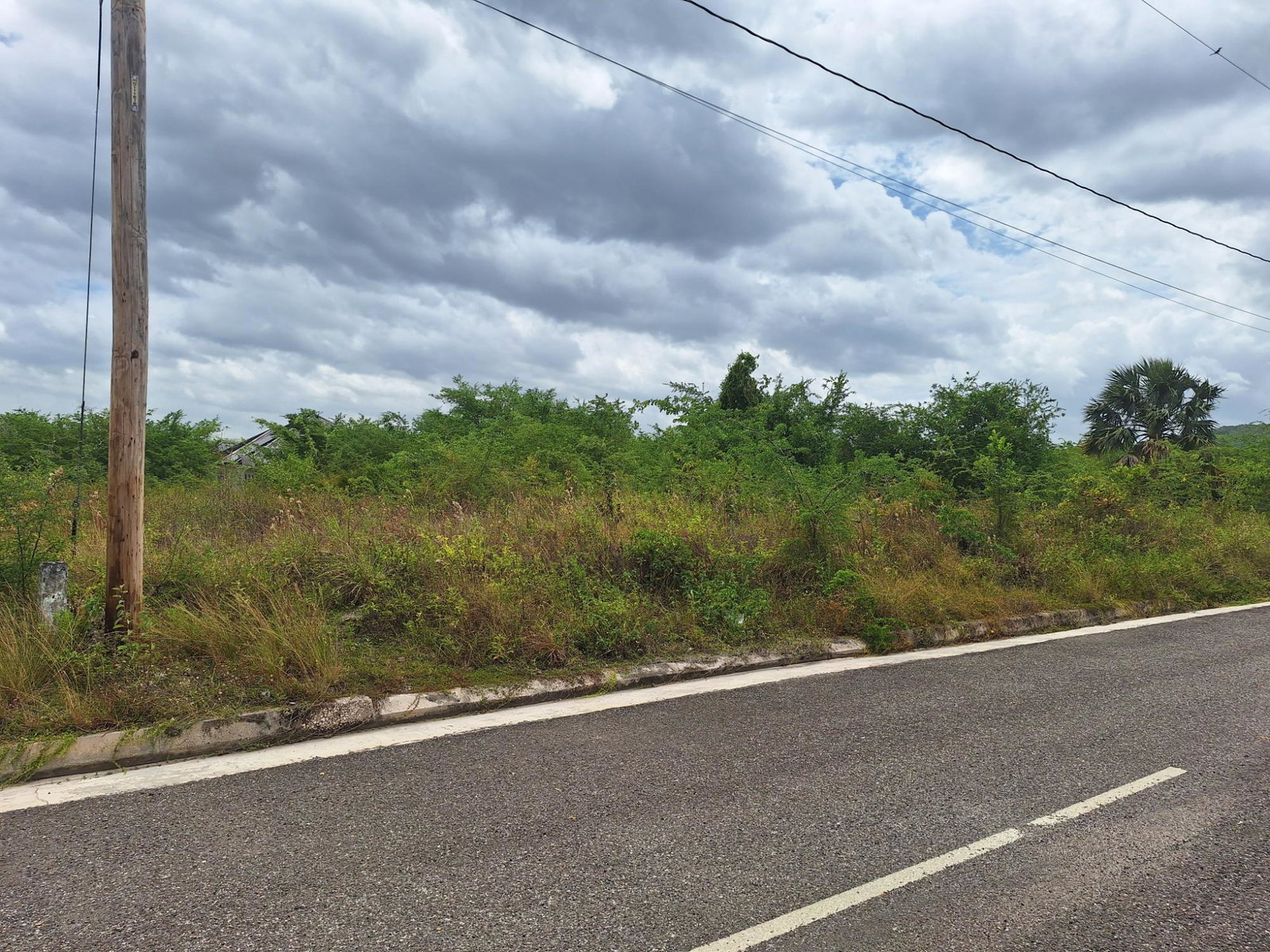 Residential-Lot-for-Sale-in-Palmbrook-Estate-St.-Elizabeth-Jamaica Eighth image of 116 Palmbrook Estate in Lacovia, St. Elizabeth, Jamaica - property is For Sale