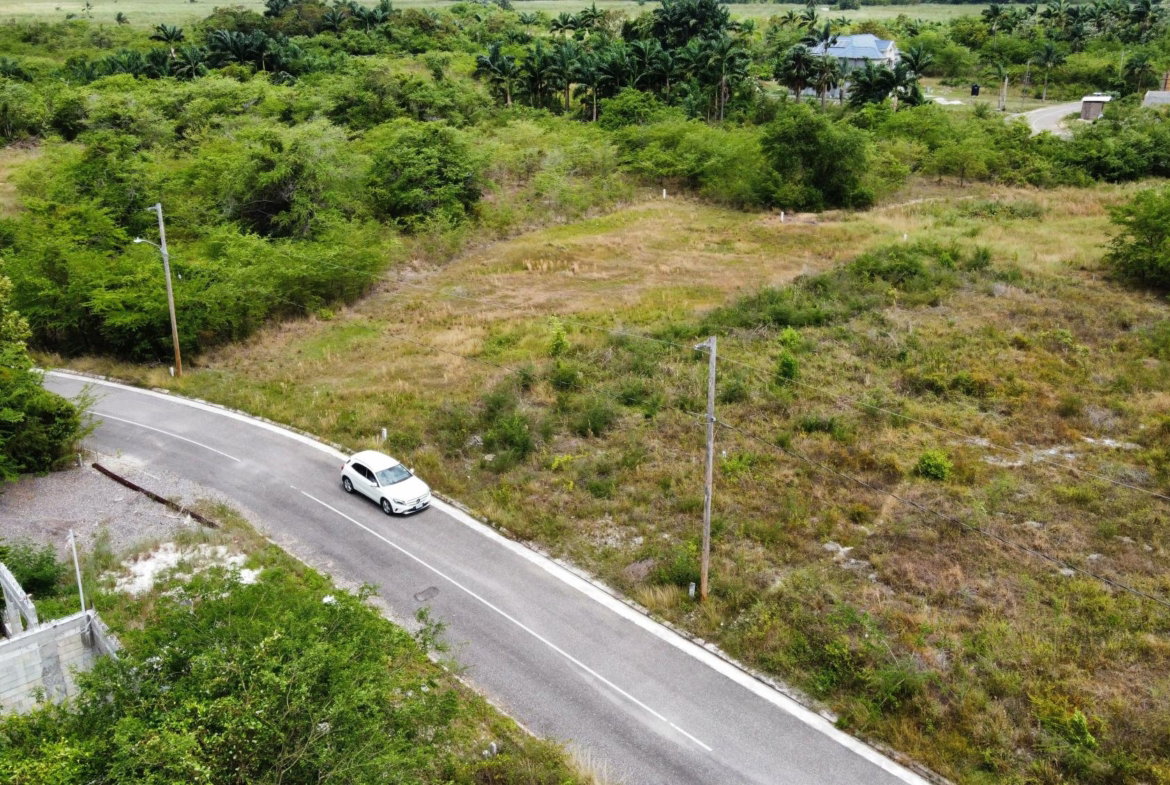 Ninth image of 116 Palmbrook Estate in Lacovia, St. Elizabeth, Jamaica - property is For Sale