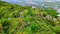 First image of 308 Plantation Heights in Red Hills, St. Andrew, Jamaica - property is For Sale