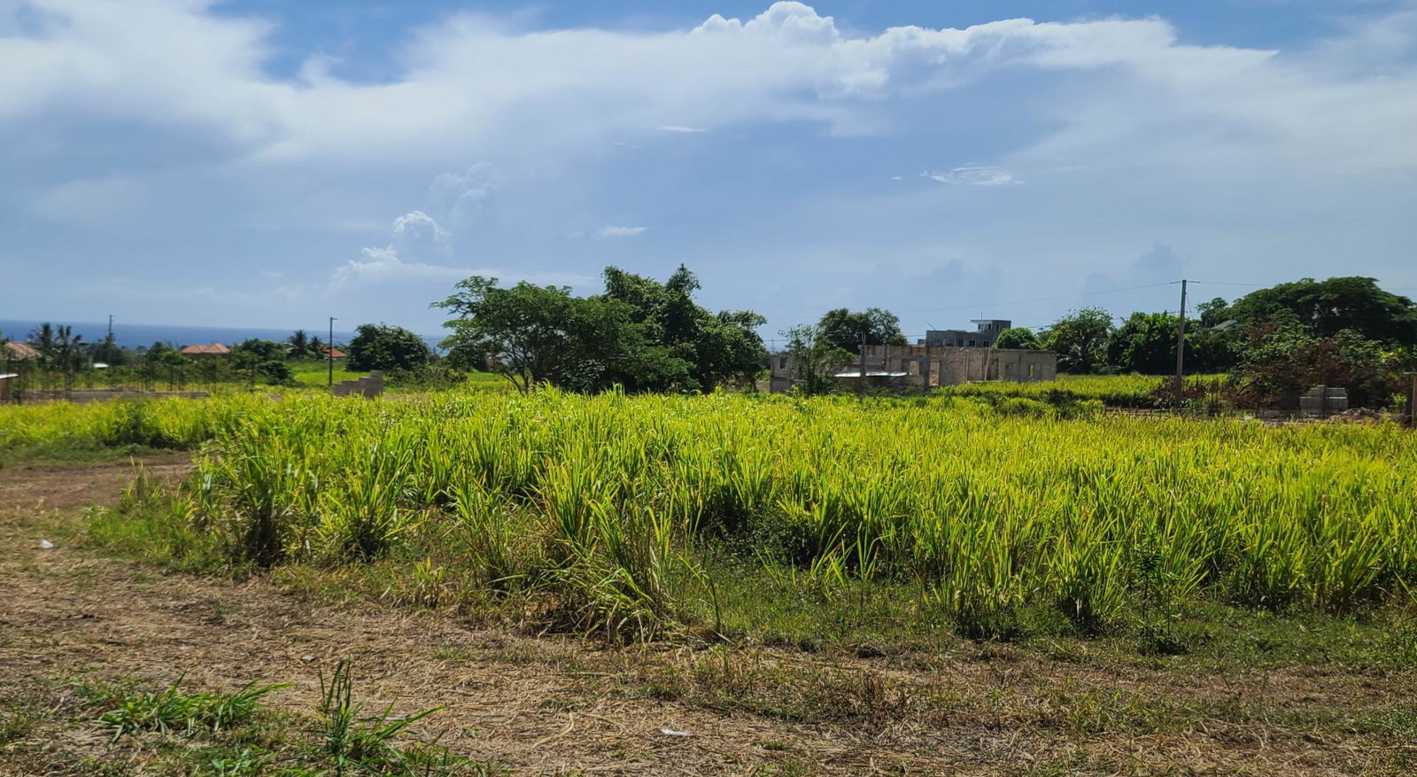 Eighth image of 267 Cedar Avenue in St. Ann's Bay, St. Ann, Jamaica - property is For Sale