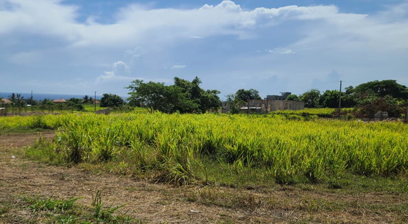 Eighth image of 267 Cedar Avenue in St. Ann's Bay, St. Ann, Jamaica - property is For Sale