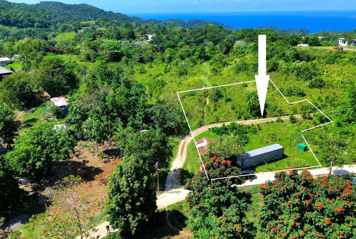 First image of Sherwood Forest in Sherwood Forest, Portland, Jamaica - property is For Sale