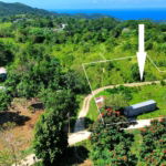 First image of Sherwood Forest in Sherwood Forest, Portland, Jamaica - property is For Sale