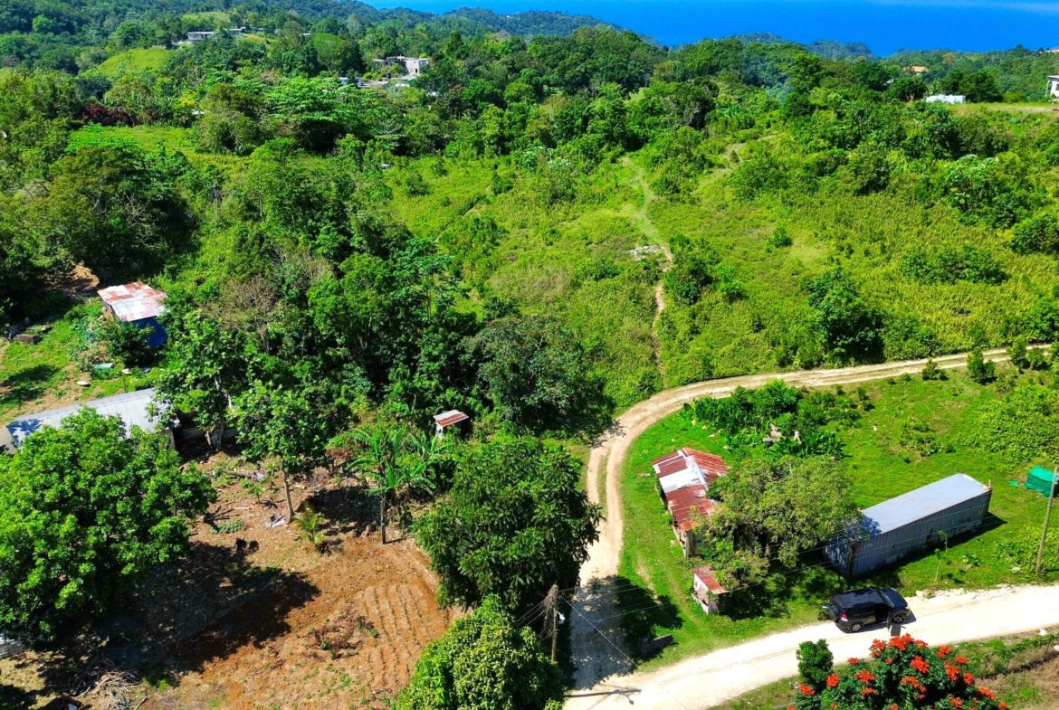 Sixth image of Sherwood Forest in Sherwood Forest, Portland, Jamaica - property is For Sale