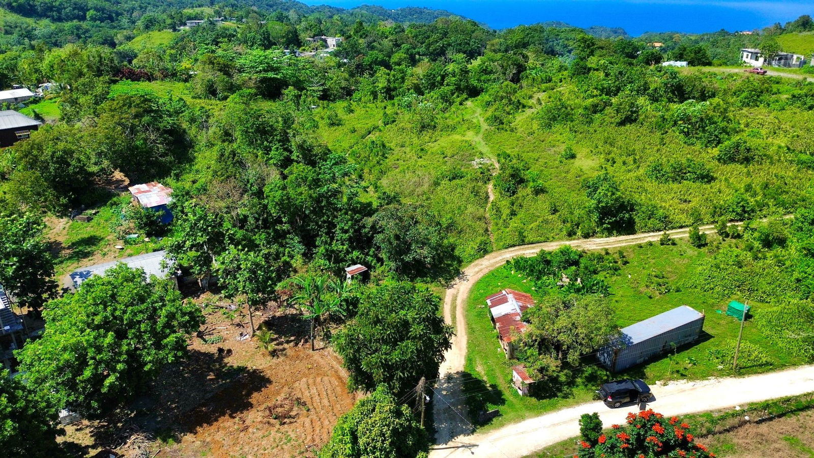 Sixth image of Sherwood Forest in Sherwood Forest, Portland, Jamaica - property is For Sale