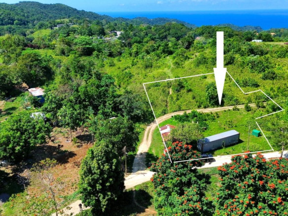 First image of Sherwood Forest in Sherwood Forest, Portland, Jamaica - property is For Sale