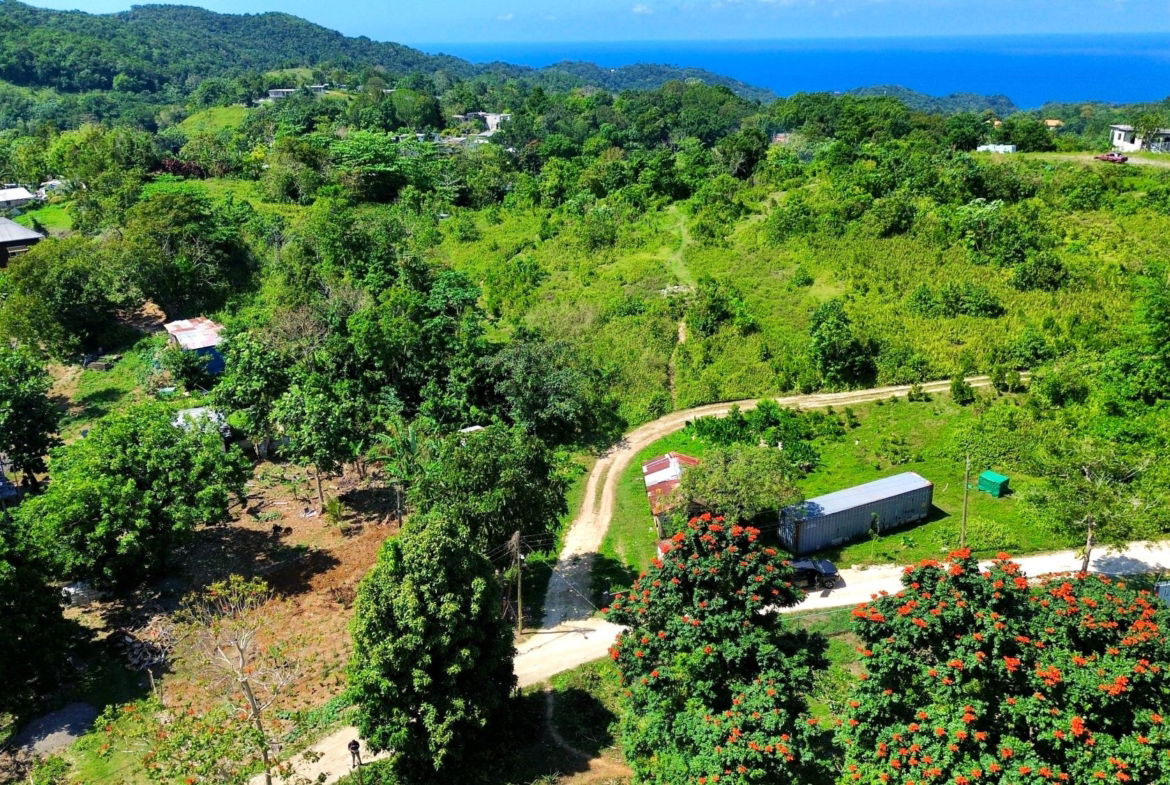Seventh image of Sherwood Forest in Sherwood Forest, Portland, Jamaica - property is For Sale