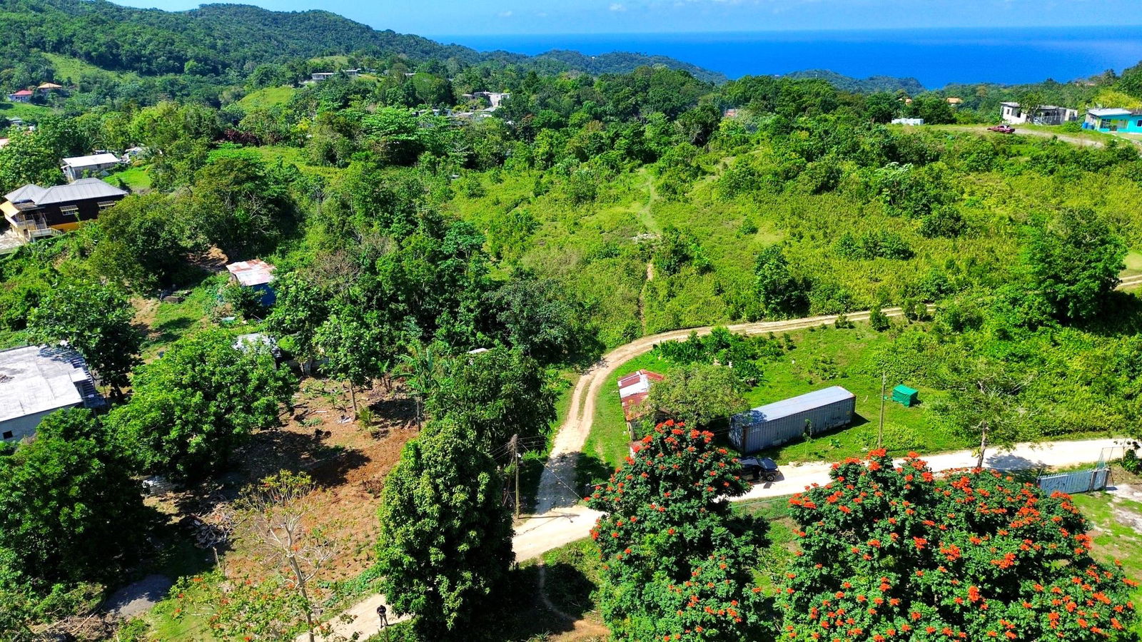 Seventh image of Sherwood Forest in Sherwood Forest, Portland, Jamaica - property is For Sale