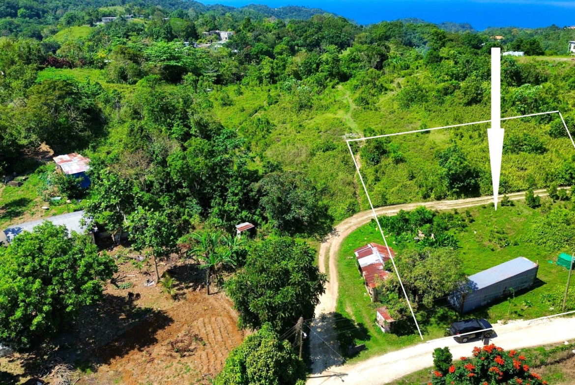 Ninth image of Sherwood Forest in Sherwood Forest, Portland, Jamaica - property is For Sale