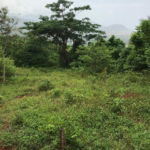 First image of Sterling Castle Red Hills in Red Hills, St. Andrew, Jamaica - property is For Sale