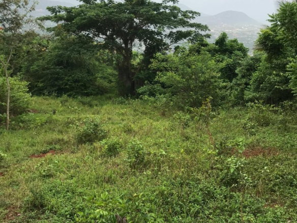 First image of Sterling Castle Red Hills in Red Hills, St. Andrew, Jamaica - property is For Sale