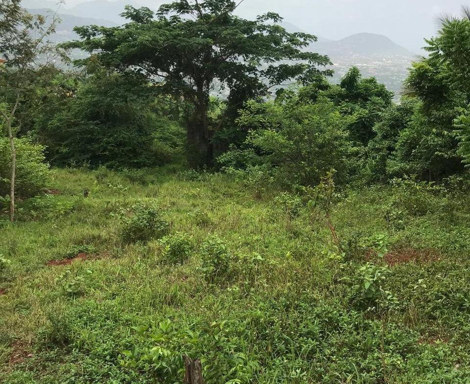 First image of Sterling Castle Red Hills in Red Hills, St. Andrew, Jamaica - property is For Sale