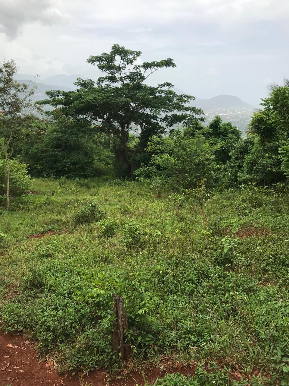 First image of Sterling Castle Red Hills in Red Hills, St. Andrew, Jamaica - property is For Sale