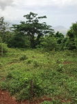 First image of Sterling Castle Red Hills in Red Hills, St. Andrew, Jamaica - property is For Sale