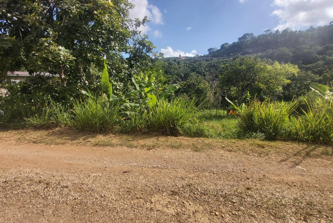 Second image of Thompson Piece in Walderston, Manchester, Jamaica - property is For Sale