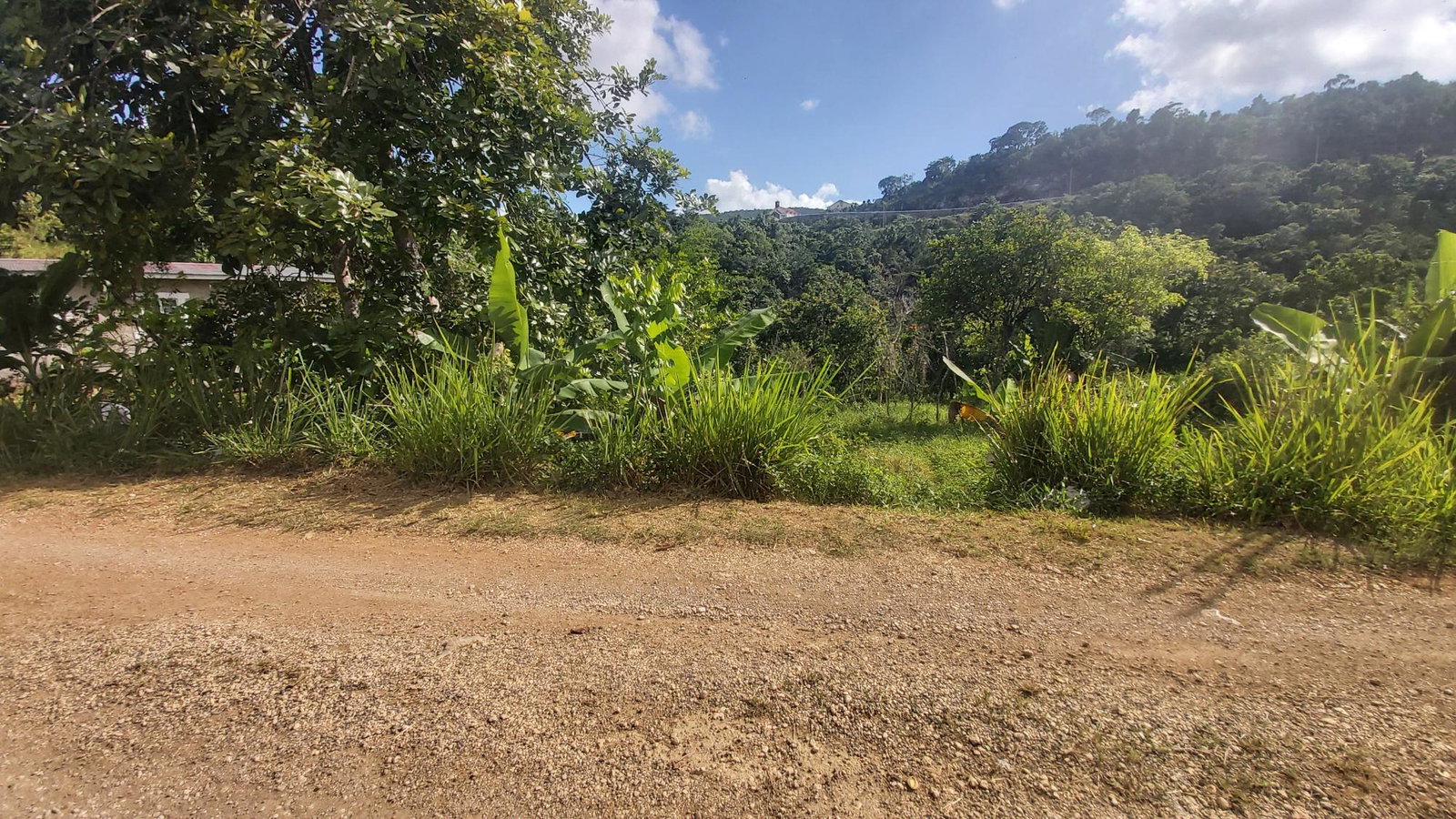 Second image of Thompson Piece in Walderston, Manchester, Jamaica - property is For Sale