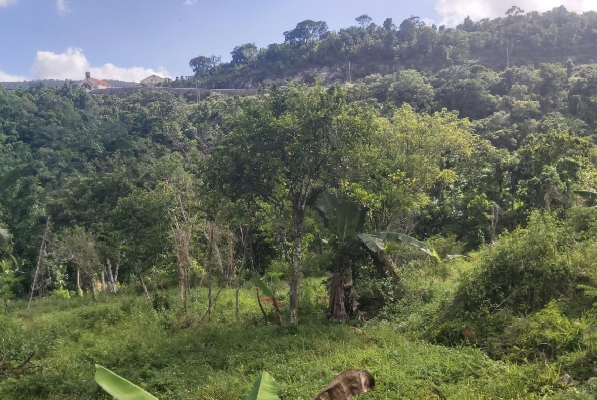 Eleventh image of Thompson Piece in Walderston, Manchester, Jamaica - property is For Sale