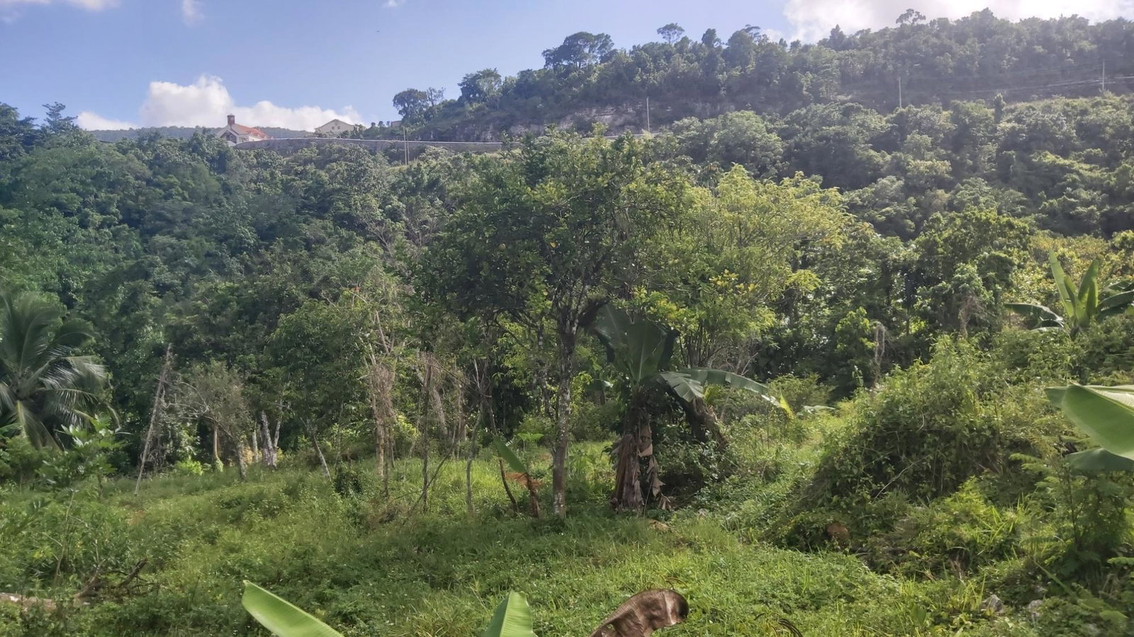 Eleventh image of Thompson Piece in Walderston, Manchester, Jamaica - property is For Sale