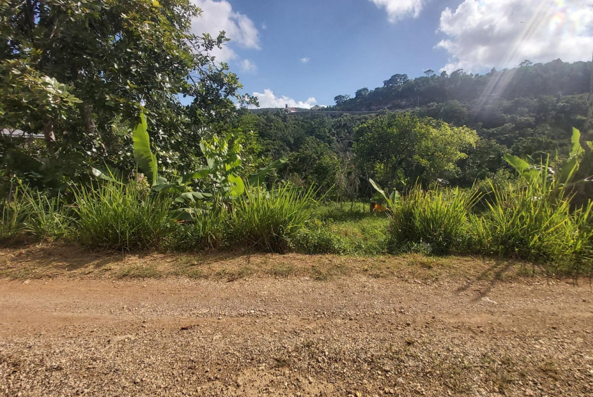 First image of Thompson Piece in Walderston, Manchester, Jamaica - property is For Sale