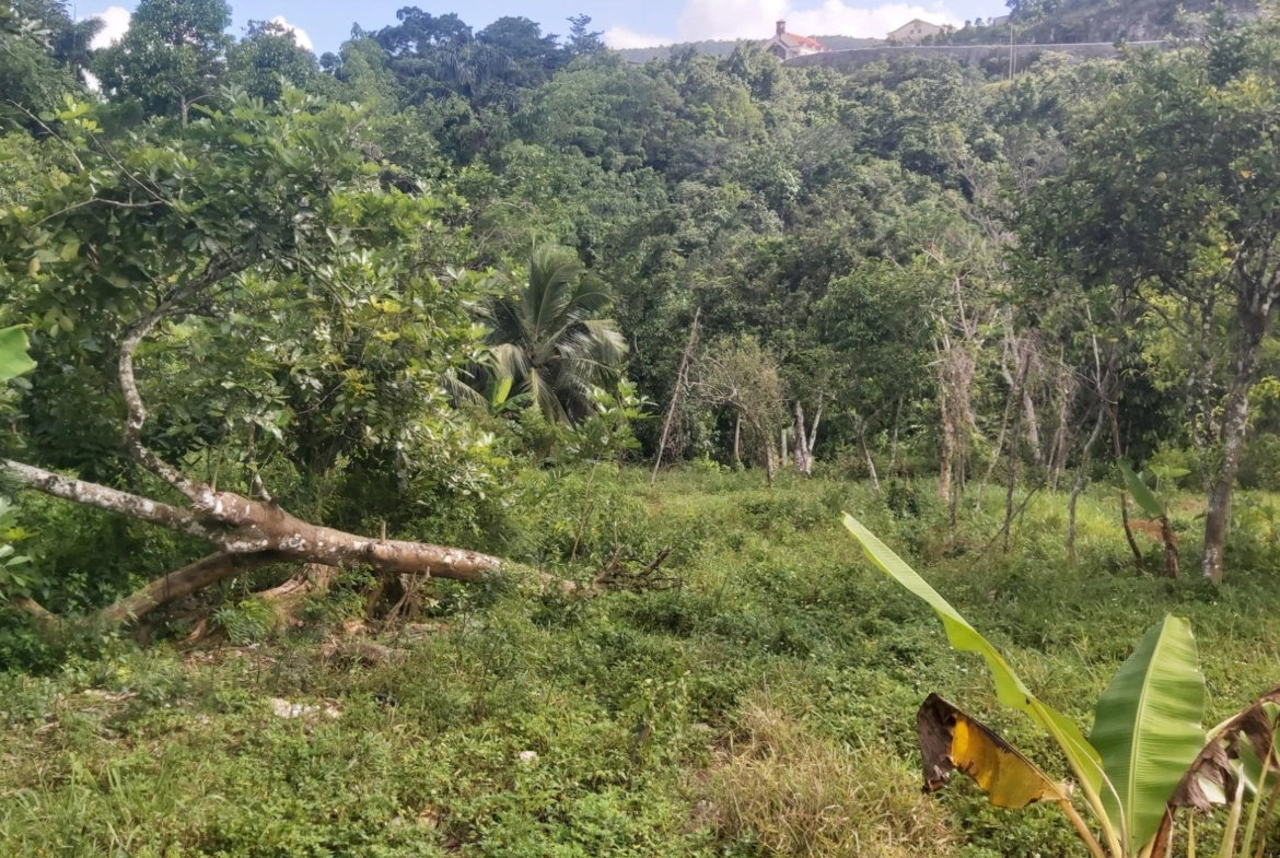 Thirteenth image of Thompson Piece in Walderston, Manchester, Jamaica - property is For Sale